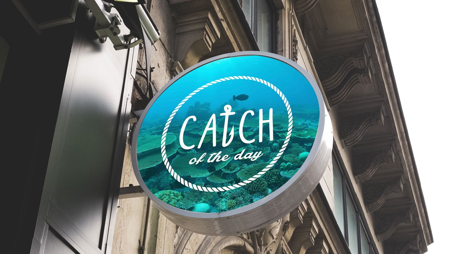 catch_sign